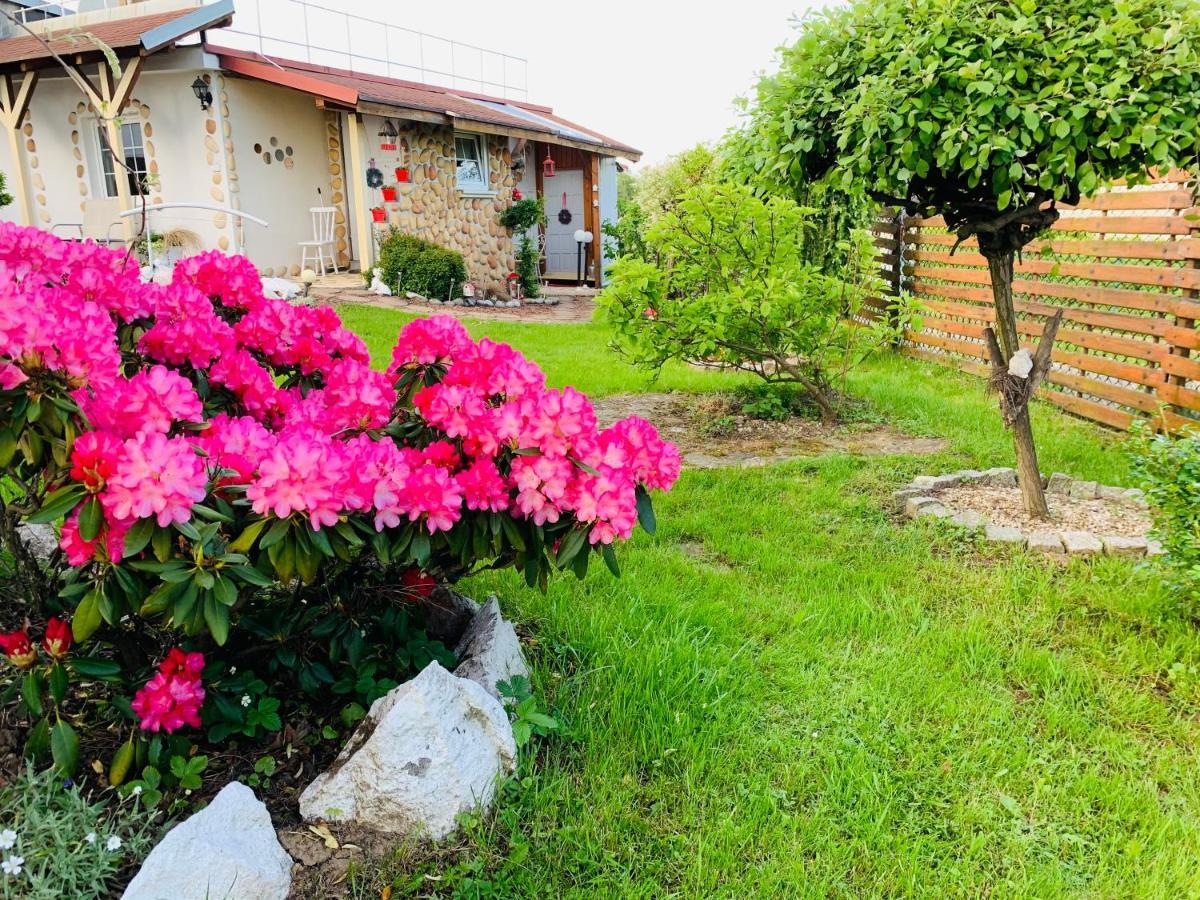 Apartament Rodzinny Z Ogrodem Cieszyn  Exterior foto